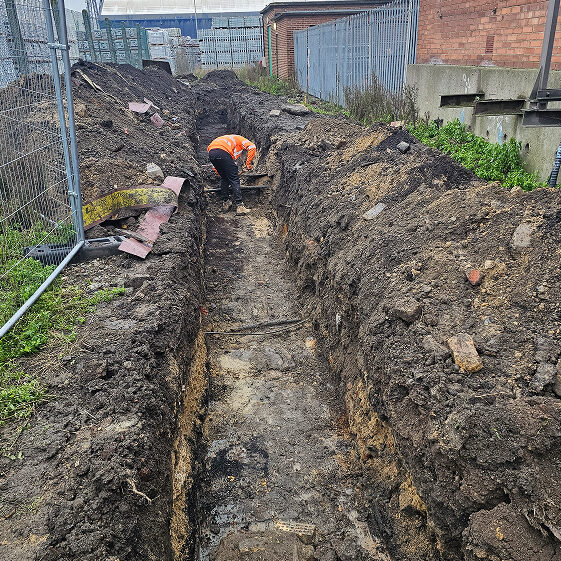 {{brizy_dc_image_alt imageSrc=